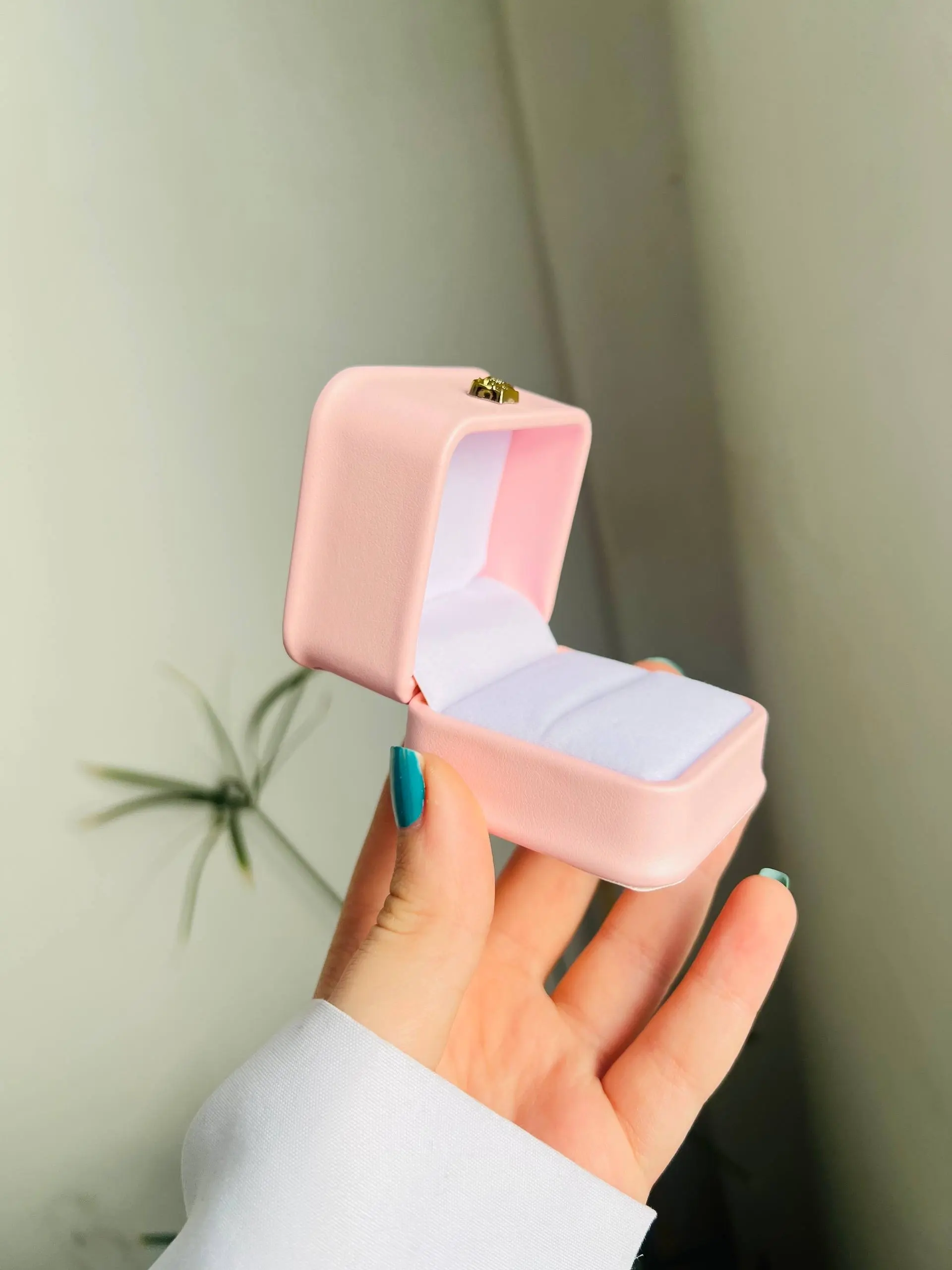 باکس انگشتر راپونزل 💍 - تصویر 2